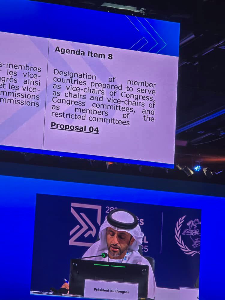 Slide 11 